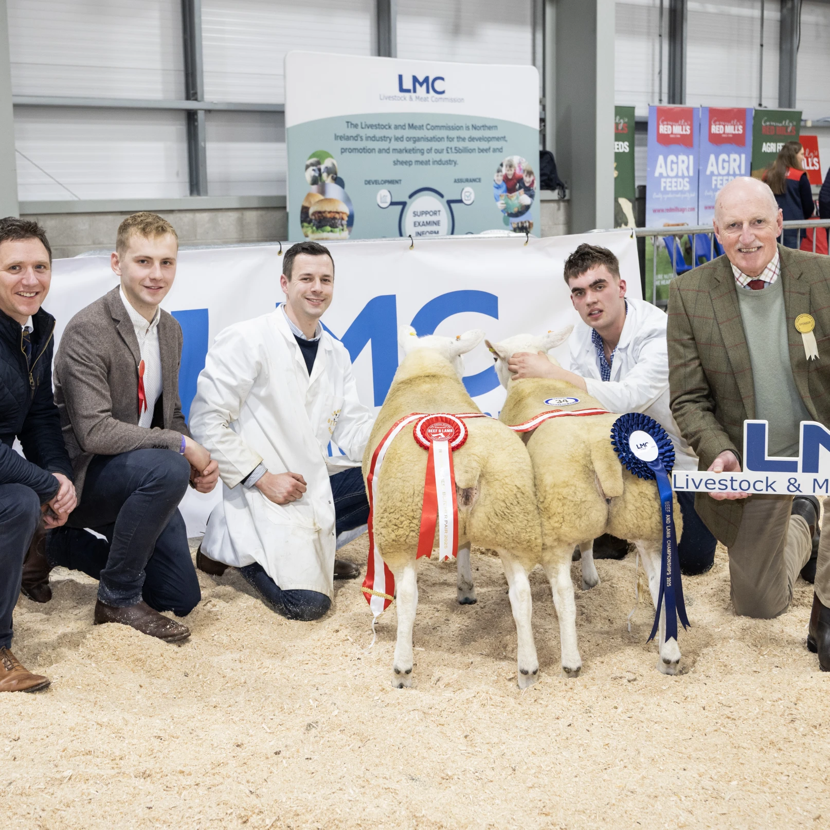 LMC Sponsors Lamb Classes at Royal Ulster Premier Beef and Lamb Championships